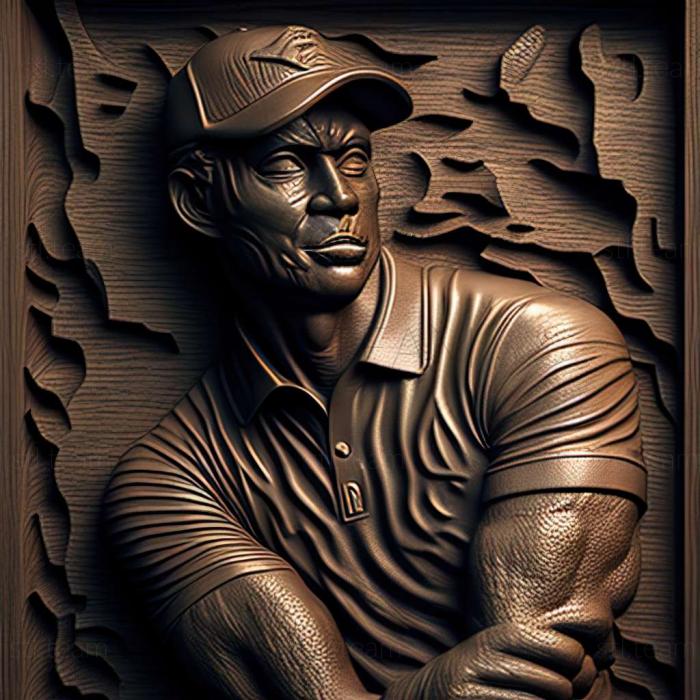 3D модель Игра Тайгер Вудс PGA Tour 10 (STL)
